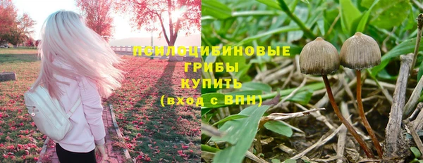 дживик Алзамай