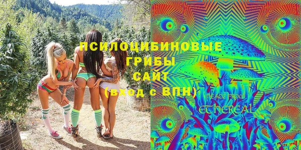 винт Алексин