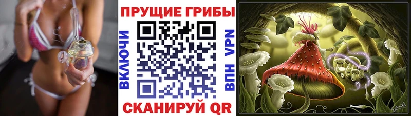 продажа наркотиков  Уссурийск  Псилоцибиновые грибы ЛСД 