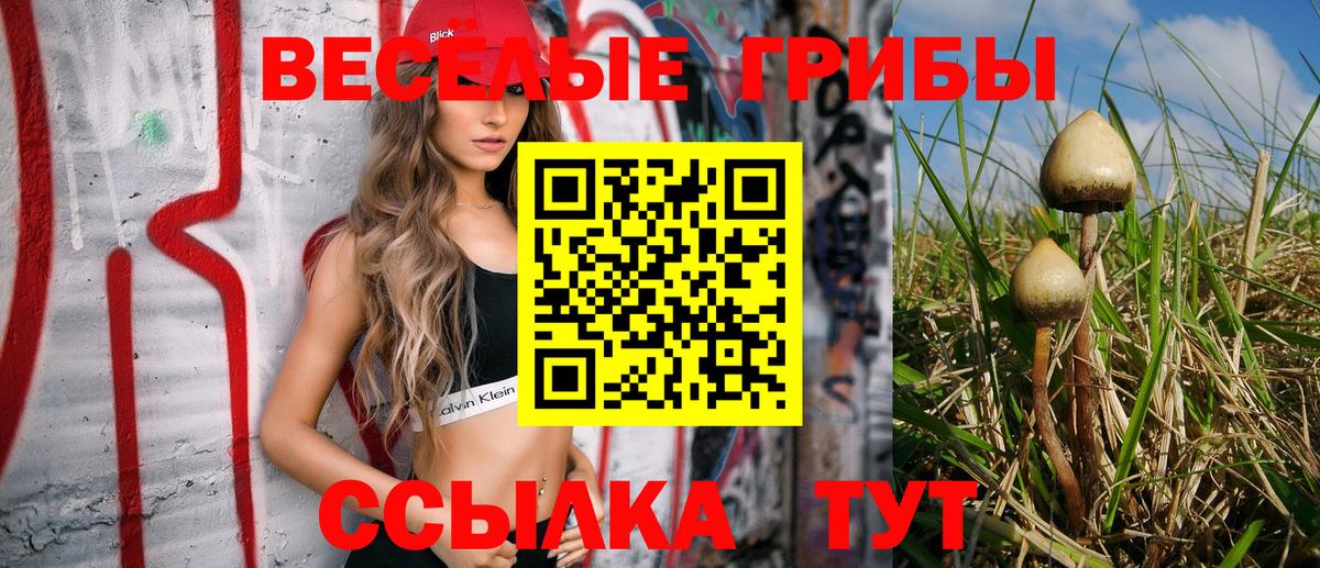 Псилоцибиновые грибы ЛСД  Вход с VPN  магазин  наркотиков  Уссурийск 