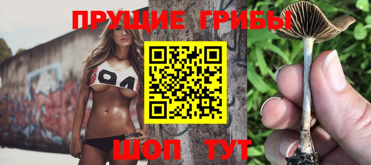Галлюциногенные грибы мухоморы Уссурийск